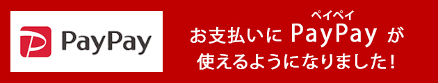 お支払いに PayPay が使えるようになりました！